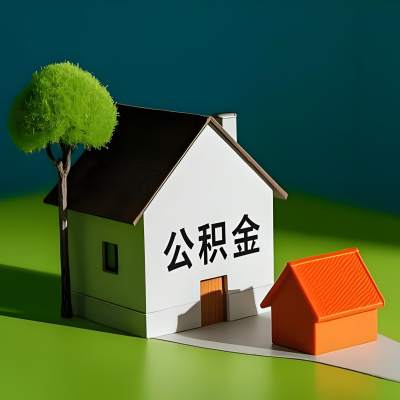 乐山大额公积金代提取有不一样流程及不一样的方案攻略在这里！